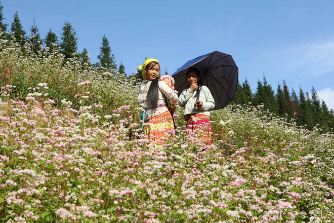 Lắp đặt nhiều điểm phát sóng wifi miễn phí ở Cao nguyên đá Đồng Văn ảnh 1