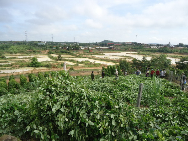 Đắk Nông: Một thanh niên chết tại chỗ do nổ mìn tự chế ảnh 1