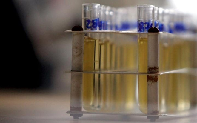 Xác nhận 28 trường hợp sử dụng doping tại Olympic 2016 ảnh 1