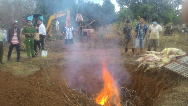 Hưng Yên bắt quả tang một lò mổ có hơn 4 tạ thịt lợn chết ảnh 1