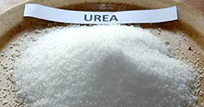 Khủng hoảng nguồn cung: Giá phân đạm urê liên tiếp lập các kỷ lục mới ảnh 1