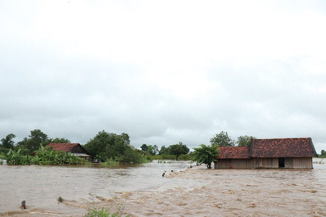 Triển khai công tác khắc phục hậu quả mưa lũ để sớm ổn định đời sống ảnh 2