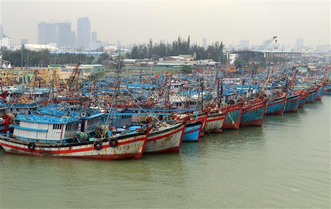 Theo dõi và chủ động ứng phó với khả năng bão trên Biển Đông ảnh 1