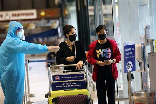 Đà Nẵng sẽ đưa hơn 400 công dân từ TP Hồ Chí Minh trở về địa phương ảnh 1