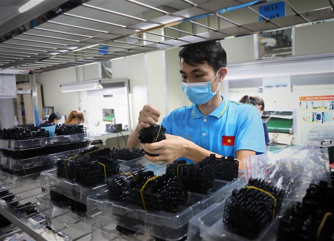 Sản xuất kinh doanh Thành phố Hồ Chí Minh chưa có tín hiệu phục hồi ảnh 1