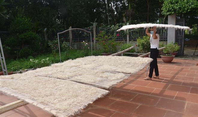 Độc đáo sản phẩm miến dong Hương Ngọc của tỉnh Thanh Hóa ảnh 3