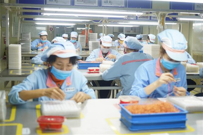 Dự báo thị trường lao động vùng kinh tế trọng điểm phía Nam ảnh 2