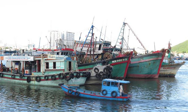 Khánh Hòa ngưng các hoạt động trên biển từ 18 giờ ngày 25/10 ảnh 1