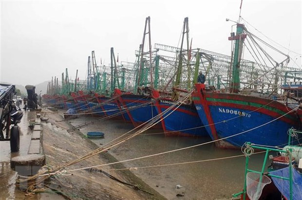 Chủ động ứng phó với mưa lớn, ngập lụt, lũ quét, sạt lở đất ảnh 2