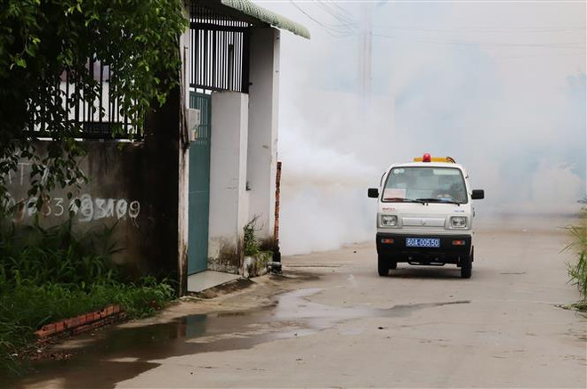 Chủ động phòng sốt xuất huyết trong tình hình dịch COVID-19 ảnh 2