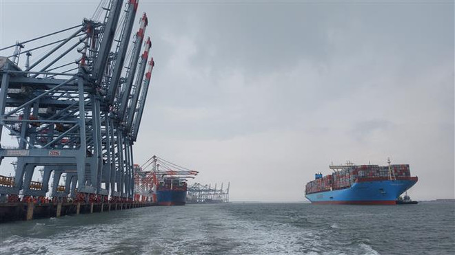 Hàng container qua cảng biển tiếp đà tăng trưởng hai con số ảnh 1