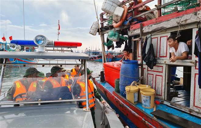 Quảng Ninh: Chủ động thực hiện các biện pháp phòng, chống bão số 7 ảnh 2