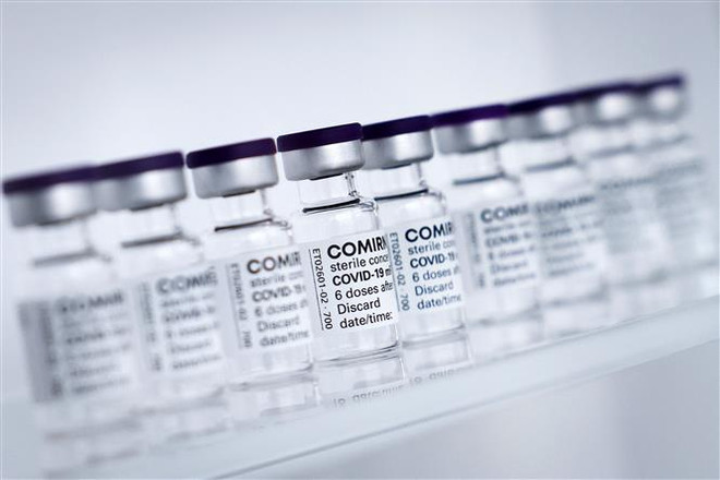 Vaccine ngừa COVID-19 Pfizer/Biontech. (Ảnh: AFP/TTXVN) Các nước ASEAN mong muốn Pfizer xây dựng cơ sở sản xuất tại Đông Nam Á ảnh 1