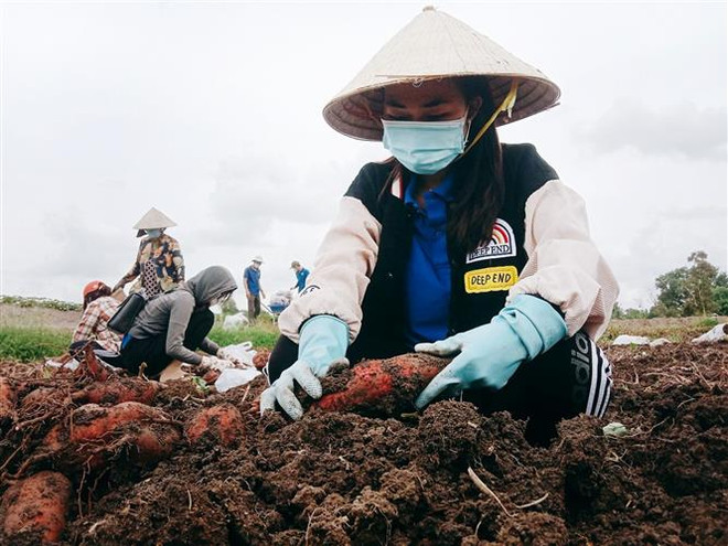 Đoàn kết, phấn đấu vì hạnh phúc và sự tiến bộ của thanh niên ảnh 3