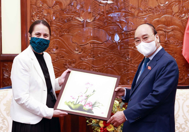 Triển khai quan hệ Đối tác Chiến lược Việt Nam-New Zealand ảnh 1