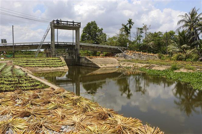 Việt Nam tích cực tham gia xử lý thách thức chung về biến đổi khí hậu ảnh 1