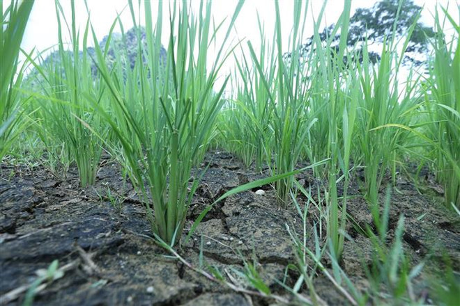 Việt Nam dự COP 26: Chủ động ứng phó với thời tiết khắc nghiệt ảnh 1