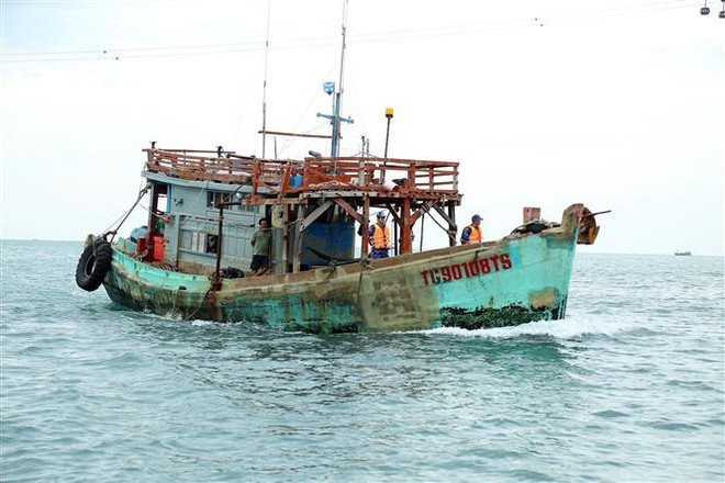 Bắt giữ tàu vận chuyển trái phép 30.000 lít dầu trên vùng biển Tây Nam ảnh 1