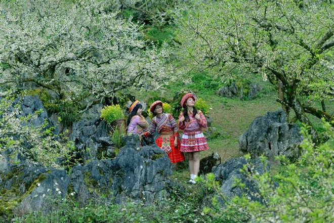 Đến thăm Mộc Châu - điểm đến thiên nhiên hàng đầu thế giới ảnh 2