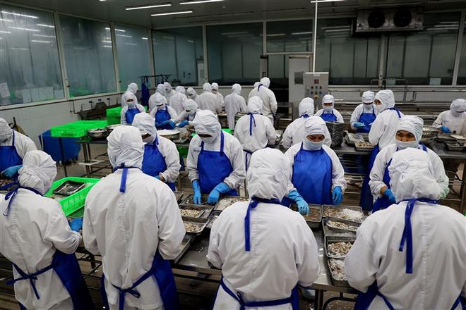 Hiệp định RCEP tạo động lực mới cho phát triển kinh tế khu vực ảnh 1