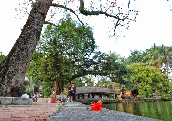 Tu bổ, chỉnh trang Khu Di tích Quốc gia đặc biệt chùa Thầy ảnh 1