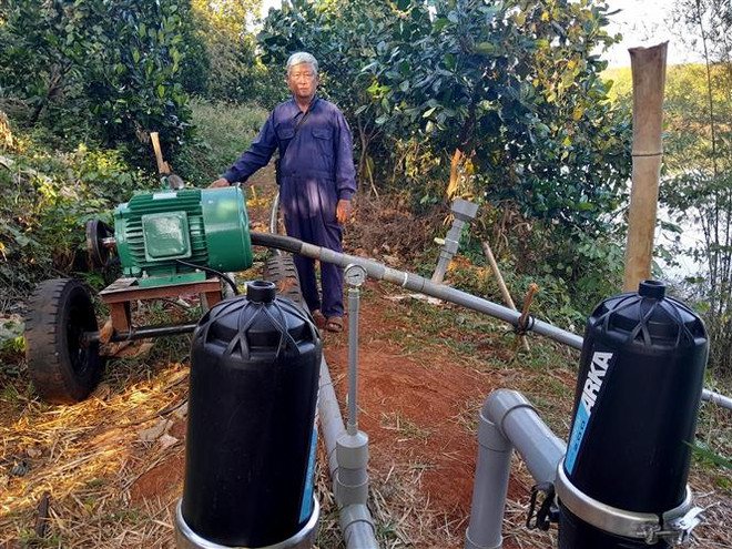 Bình Phước chuẩn bị cho mùa thu hoạch sầu riêng xuất khẩu chính ngạch ảnh 2