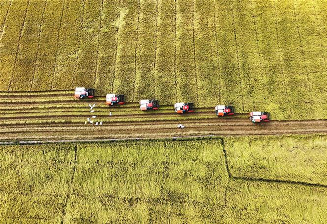 Chuyên gia Ấn Độ đánh giá tích cực về tốc độ tăng trưởng của Việt Nam ảnh 1