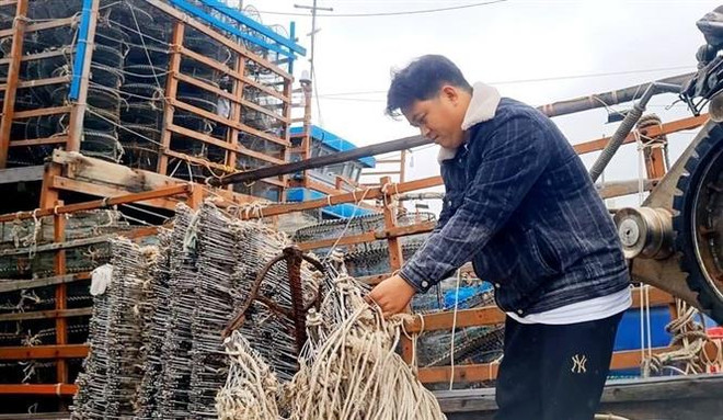 Chuyến biển đầu năm với kỳ vọng mới của ngư dân Quảng Bình ảnh 2