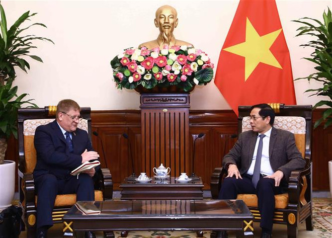 Bộ trưởng Ngoại giao tiếp đoàn Hội đồng Kinh doanh EU-Eurocham ảnh 1