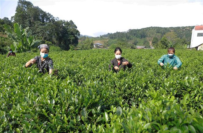 Các tỉnh Bắc Bộ đêm và sáng có mưa phùn, trưa chiều hửng nắng ảnh 1