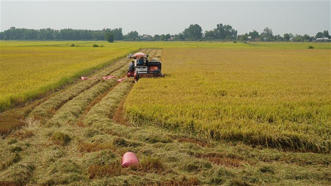 Thí điểm thủ tục chuyển mục đích sử dụng đất trồng lúa tại Khánh Hòa ảnh 1