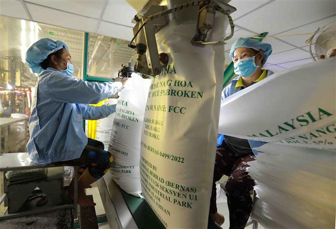 Tín hiệu tích cực gieo hy vọng xuất khẩu gạo năm 2023 thắng lớn ảnh 1