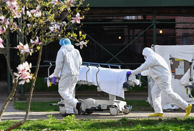 Nhân viên y tế chuyển thi thể bệnh nhân COVID-19 tại New York, Mỹ ngày 8/4/2020. (Nguồn: AFP/TTXVN) Dịch bệnh COVID-19 ngày 25/5: Số ca tử vong tại Mỹ lên tới gần 100.000 ảnh 1
