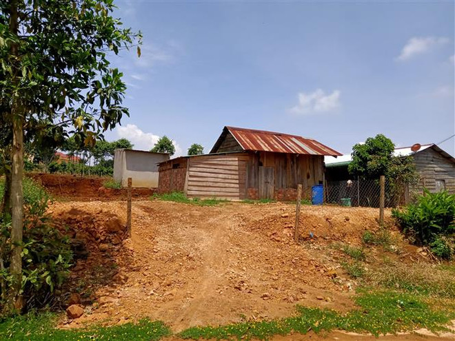 Hàng trăm hécta rừng ở Lâm Đồng 'biến mất' do quản lý lỏng lẻo ảnh 2