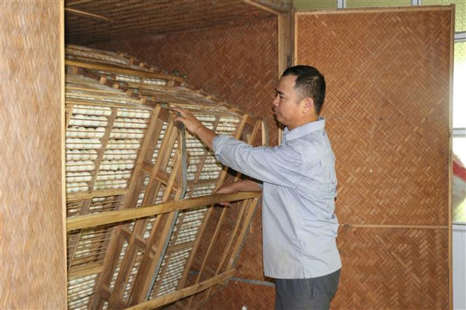 Diện mạo mới, sức sống mới trên quê hương của Chủ tịch Hồ Chí Minh ảnh 4