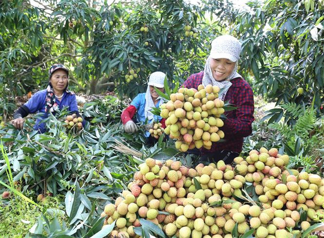 Truyền thông Đức: Việt Nam lạc quan về triển vọng kinh tế của đất nước ảnh 1