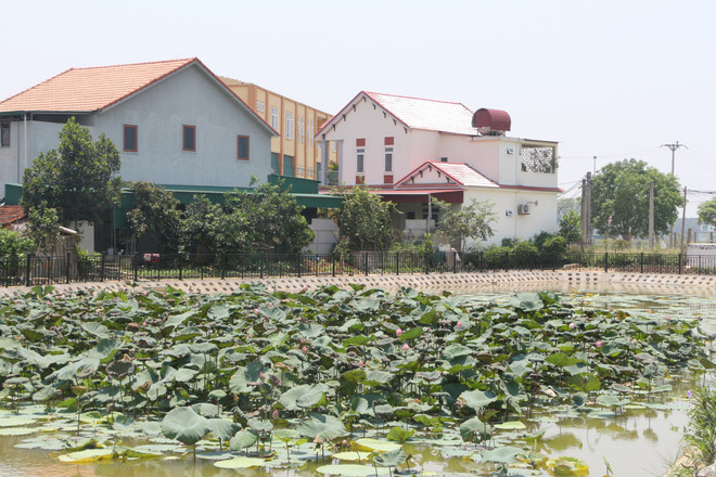 Diện mạo mới, sức sống mới trên quê hương của Chủ tịch Hồ Chí Minh ảnh 1