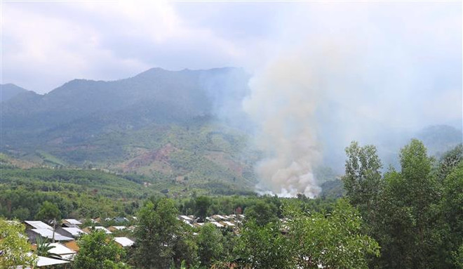 Xác định nguyên nhân các vụ cháy rừng trồng tại Khánh Hòa ảnh 2