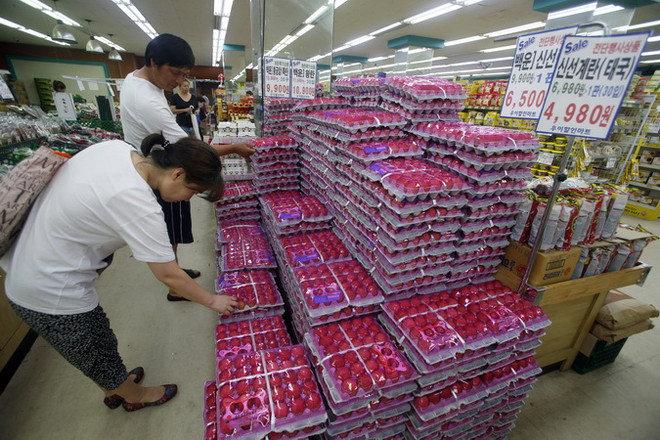 Tổng thống Hàn Quốc ra lệnh công bố sách trắng về vụ "trứng bẩn" ảnh 1