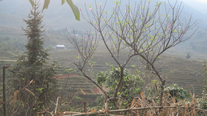 Vùng núi phía Bắc trời lạnh dưới 18 độ C trong đêm 14/11 ảnh 1