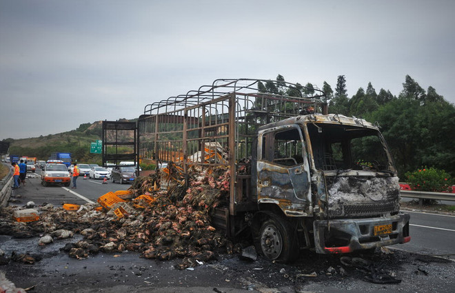 Xe tải tự bốc cháy, hơn 2.000 con vịt sống hóa "vịt quay" ảnh 1