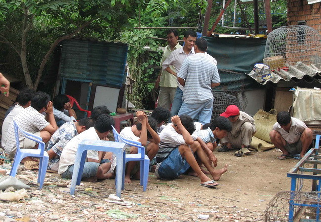 Triệt phá ổ đánh bạc bằng đá gà, tạm giữ 25 đối tượng ảnh 1