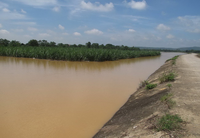 Lũ trên các sông từ Quảng Trị đến Bình Định tiếp tục lên ảnh 1