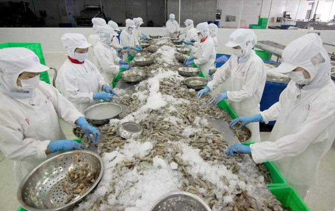 Tăng trưởng Việt Nam lạc quan nhờ hiệp định thương mại với EU ảnh 1