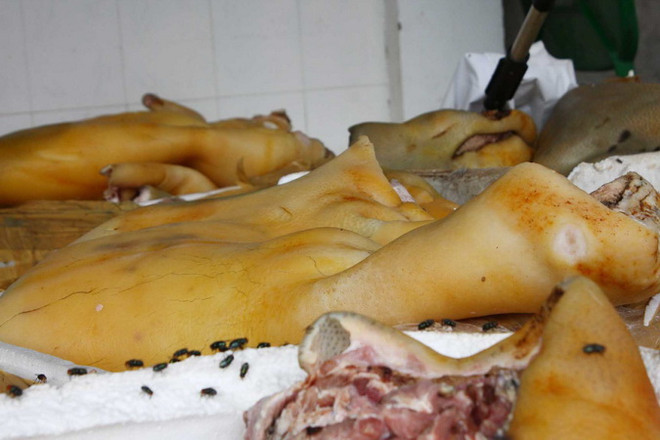 Phát hiện gần 5 tấn thịt lợn bẩn tuồn vào chợ Bình Dương ảnh 1