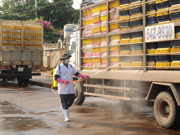 Xuất hiện chủng virus cúm gia cầm mới ở Đồng Nai ảnh 1