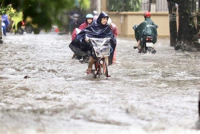 Thành phố Hồ Chí Minh: Cây bật gốc do mưa lớn, đè trúng người đi đường ảnh 2