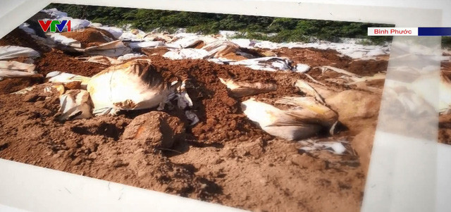 Nghi vấn doanh nghiệp xử lý môi trường chôn lấp chất thải nguy hại ảnh 1