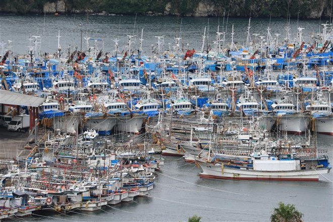 Bão Haishen gây nhiều thiệt hại tại Hàn Quốc và Triều Tiên ảnh 1