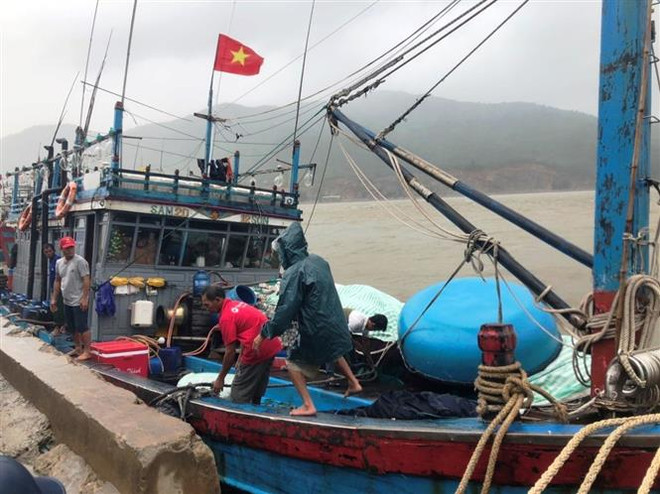 Ngư dân gia cố tàu thuyền. (Ảnh: Hoàng Ngà/TTXVN) Kinh nghiệm và giải pháp ứng phó thiên tai từ cơn bão số 5 ảnh 1